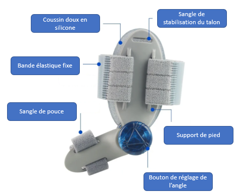 Correcteur Hallux Valgus