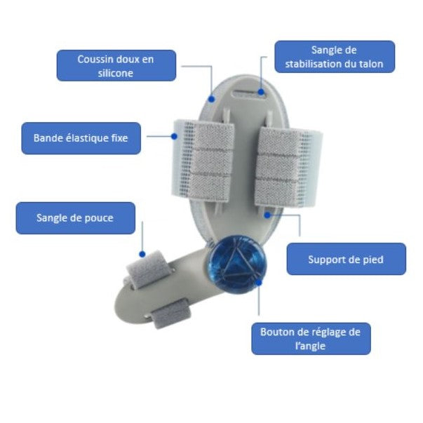 Correcteur Hallux Valgus